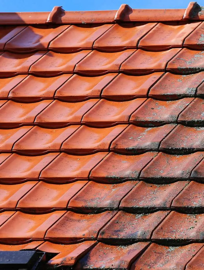 Démoussage professionnel de toiture